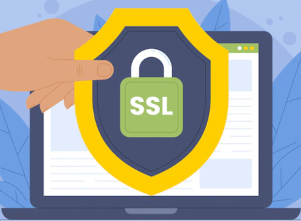 Действие SSL-сертификата с проверкой домена